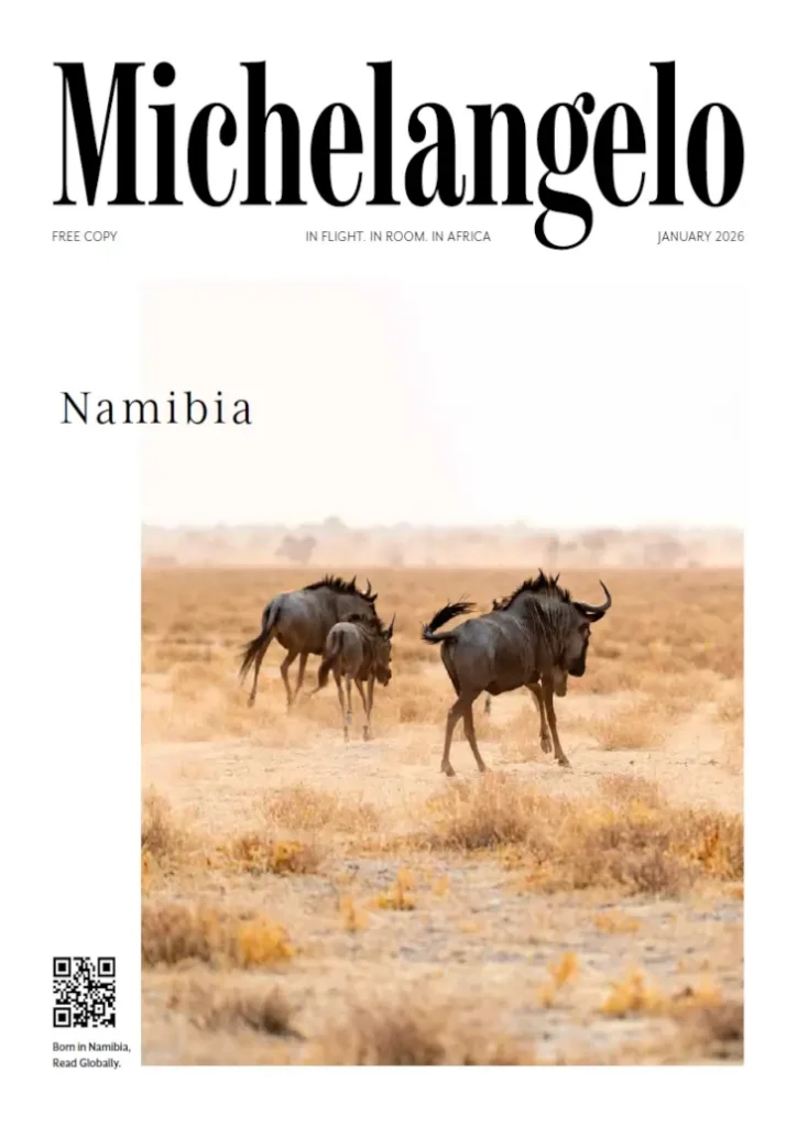 Michelangelo Magazine